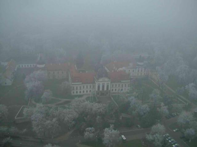 DSCF0065