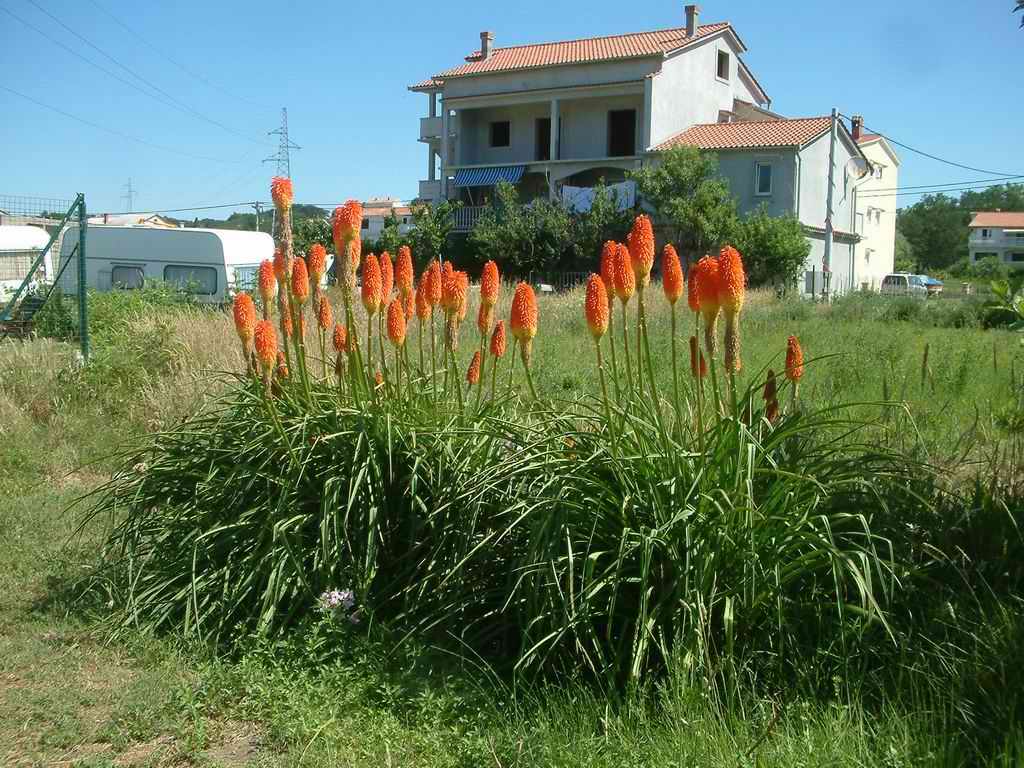 066