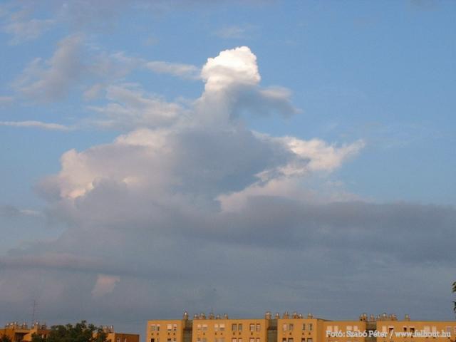 fel03
