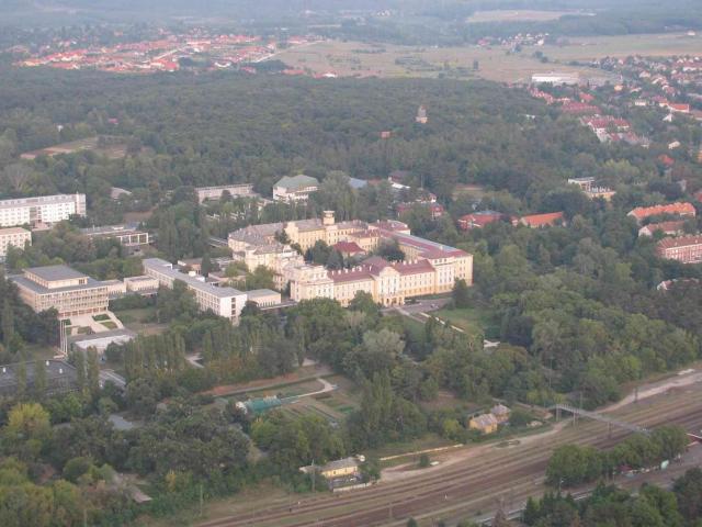 2009 194