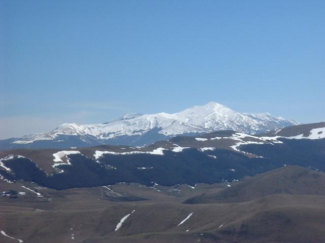 DSCF6828