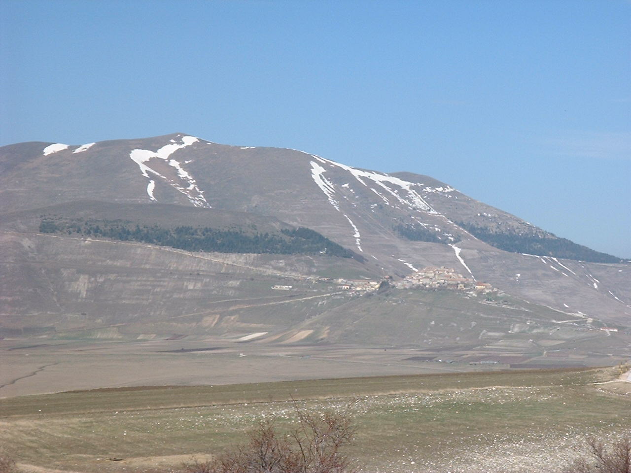 DSCF6953