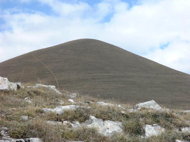 DSCF7091