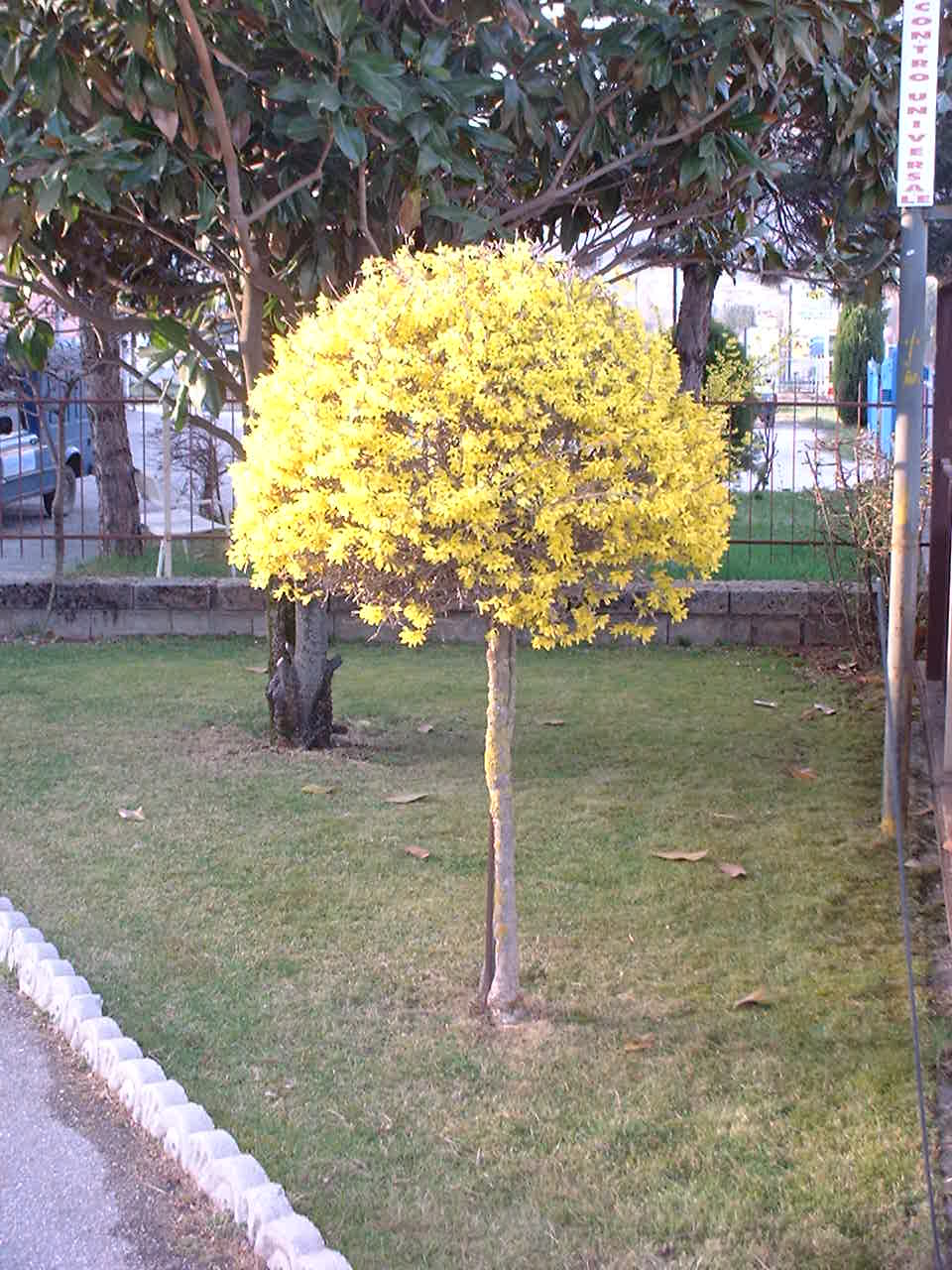 DSCF7122