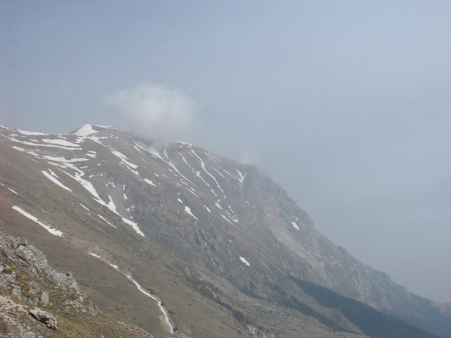 DSCF7213