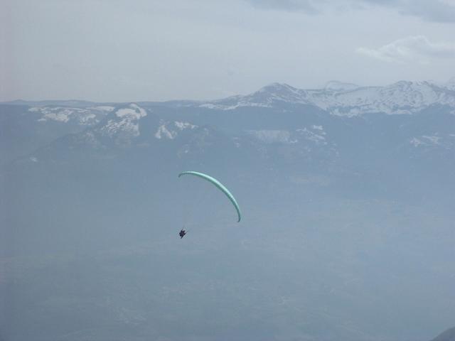 DSCF7237