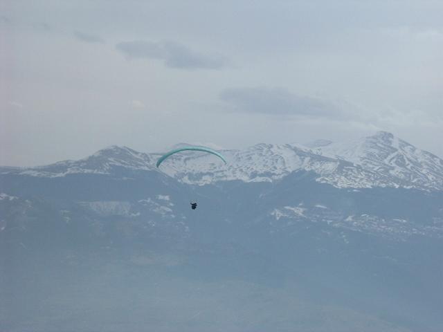 DSCF7242