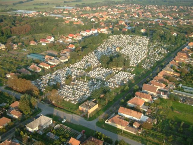 13ppgttura15