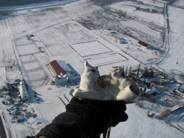 2010 123