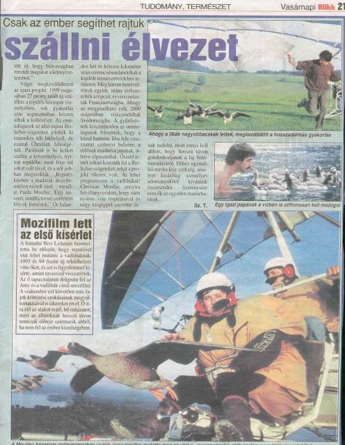 Cikk_libak02