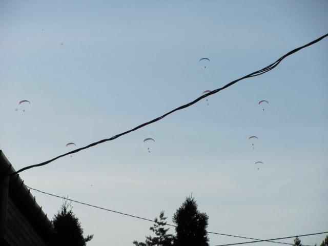 2010 006