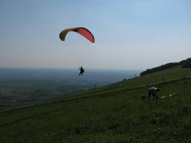 2010 004