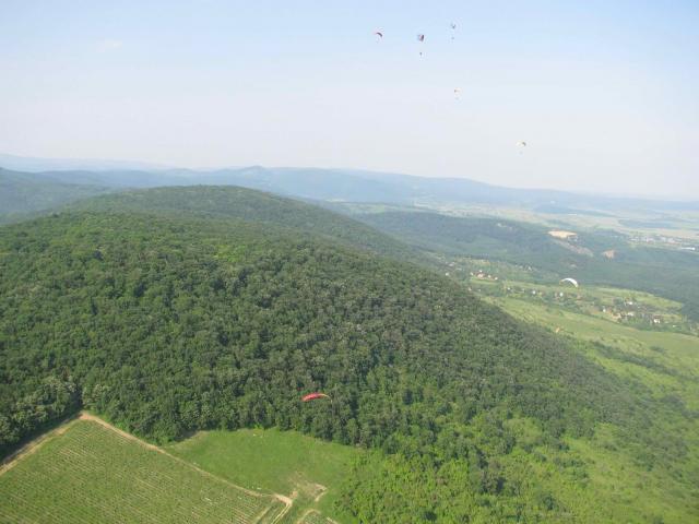2010 006
