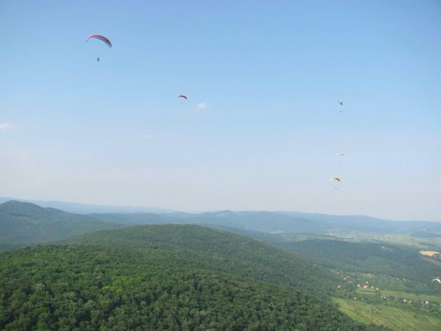 2010 011