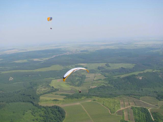 2010 046
