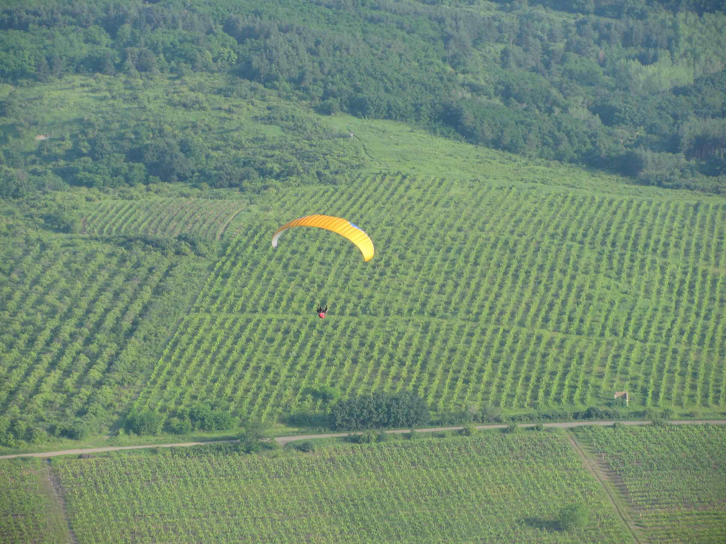 2010 068