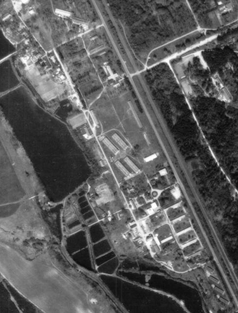 Telep1989_04