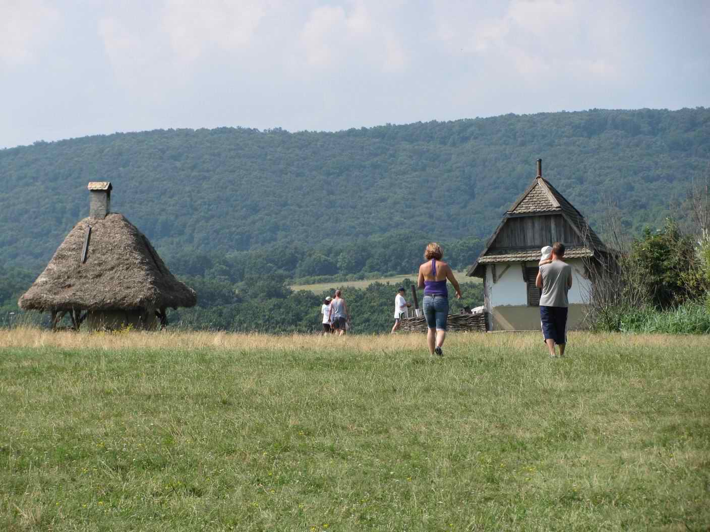 2010 077