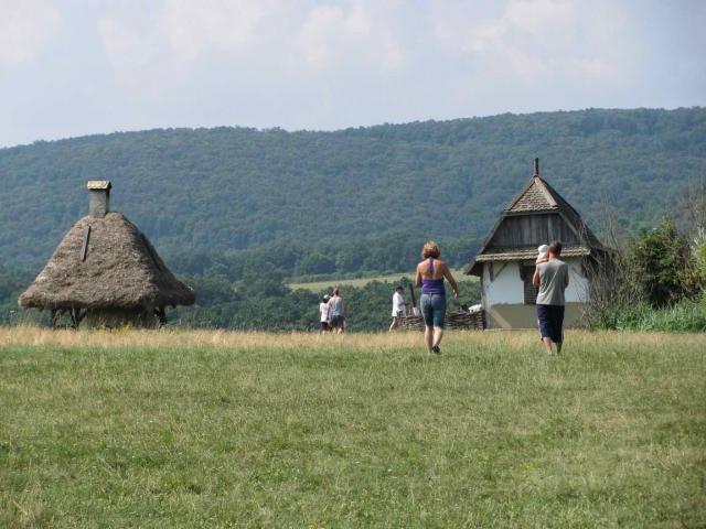2010 077