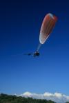 _MG_7755.JPG