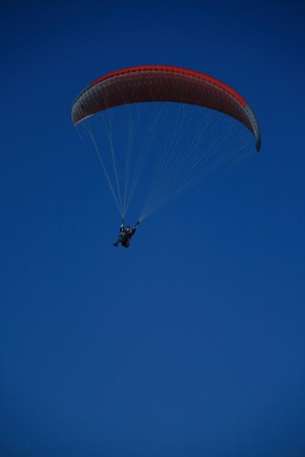 _MG_7761.JPG
