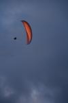 _MG_7797.JPG