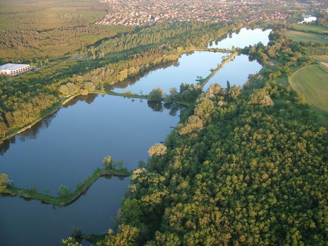DSCF9669