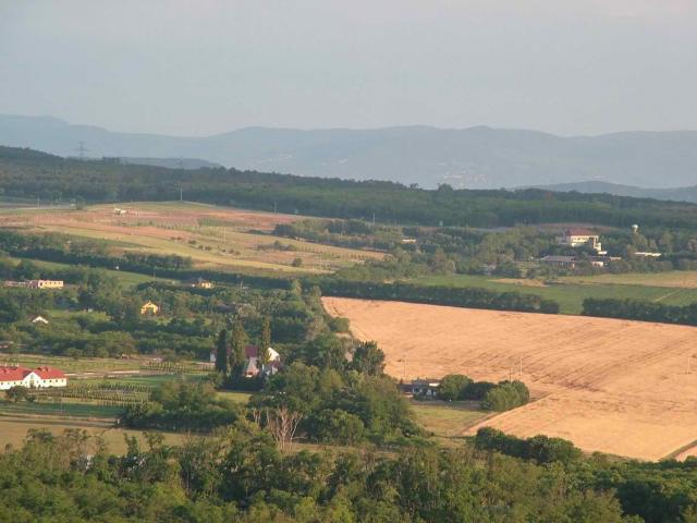 DSCF0617