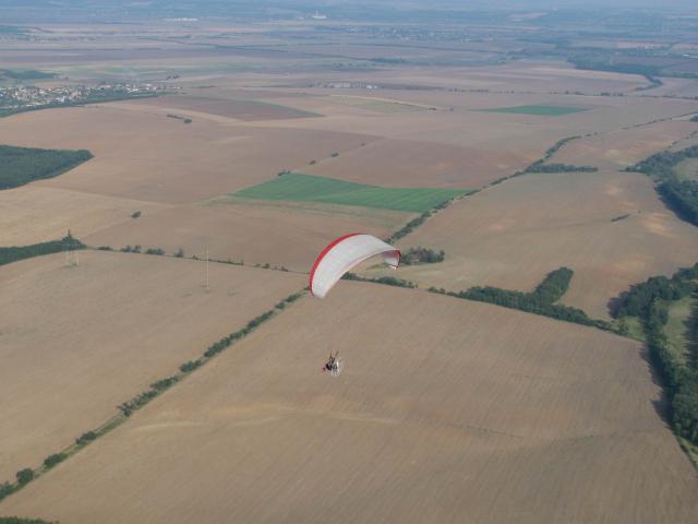 2009 006