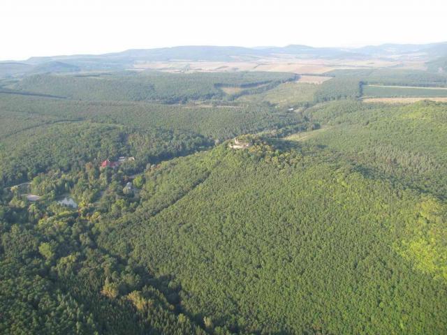 2009 043
