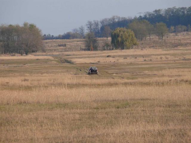 P1150446
