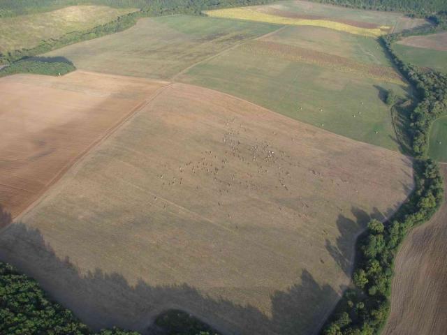 2009 056
