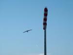DSCF5097