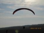 IMG_0446