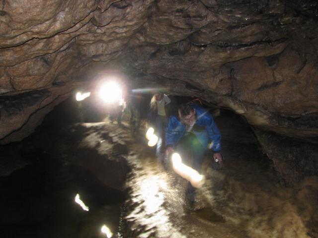 KĂŠp 156