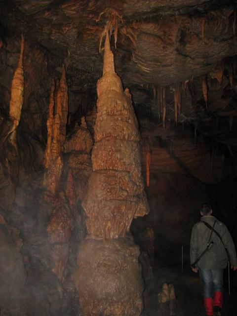 KĂŠp 445