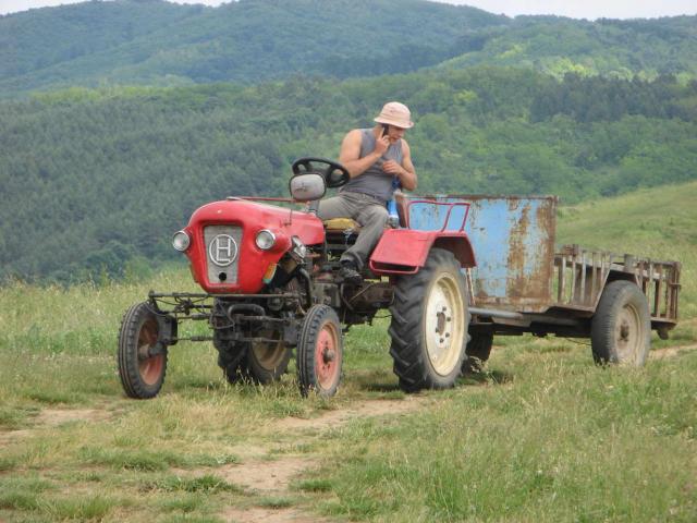 KĂŠp 164