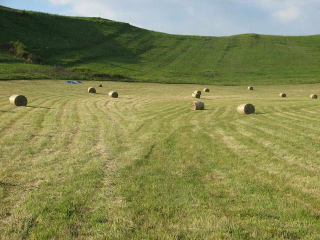 KĂŠp 259