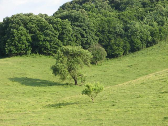 KĂŠp 262