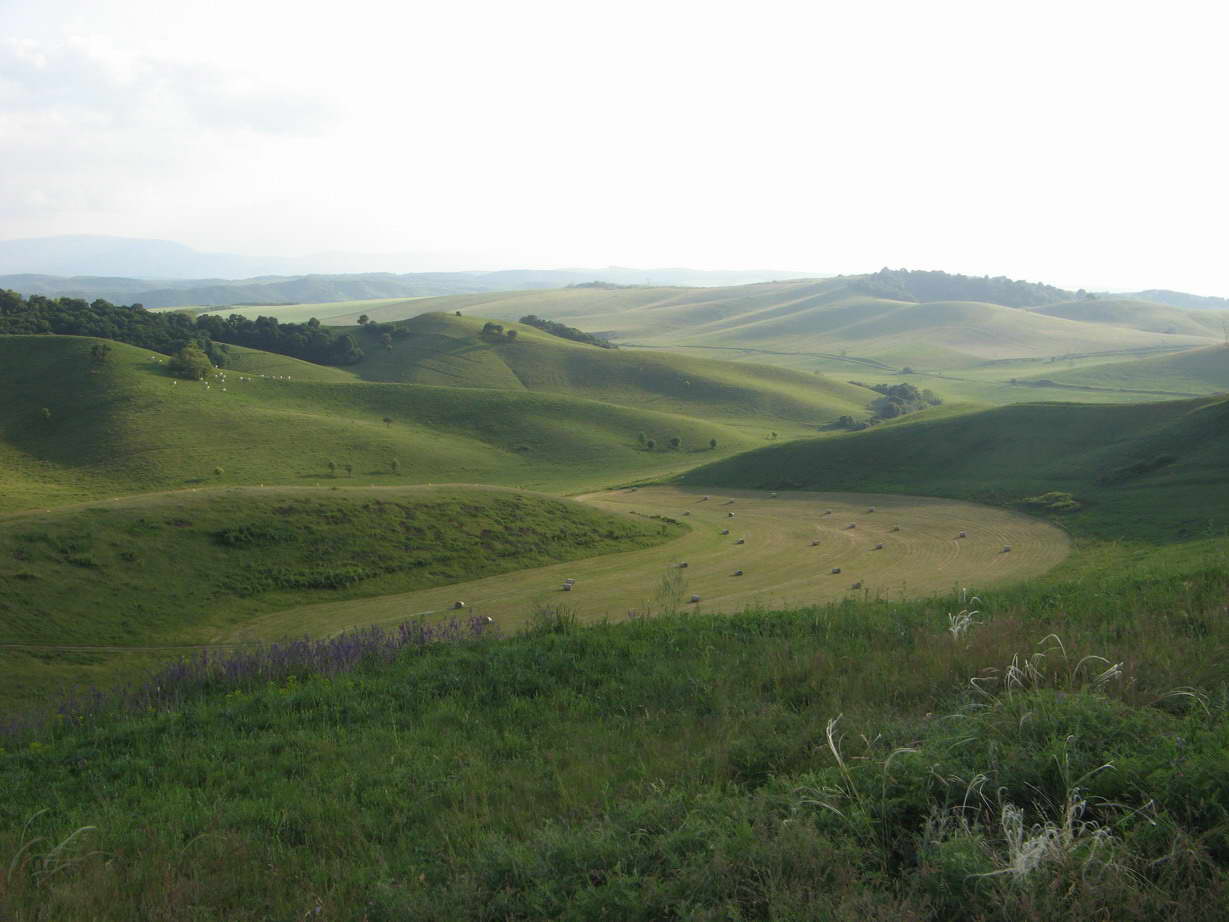 KĂŠp 270