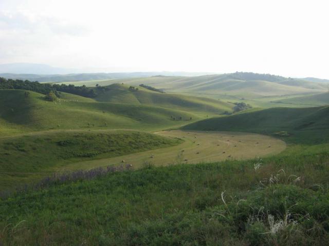 KĂŠp 270