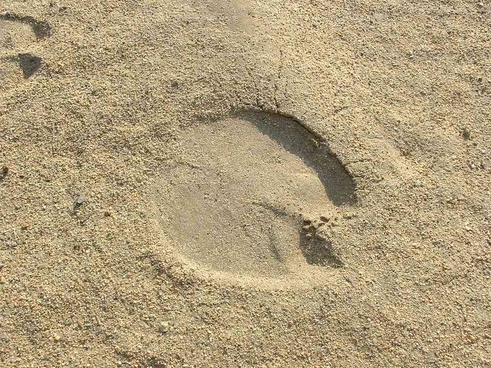 1372