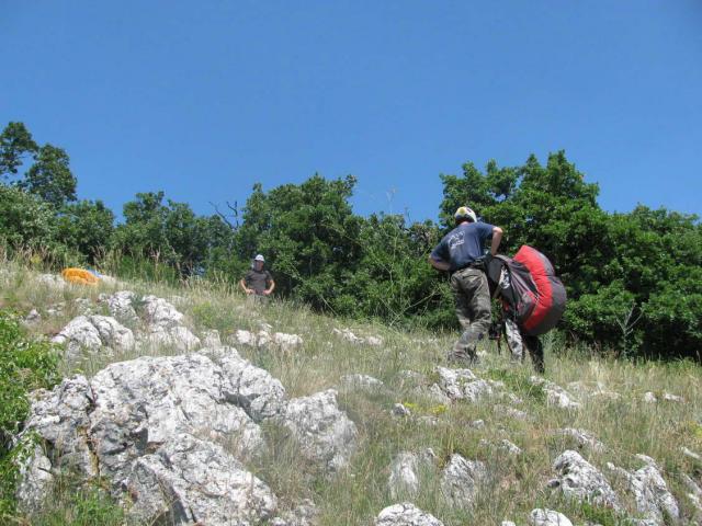 KĂŠp 008