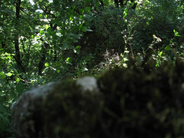 KĂŠp 034