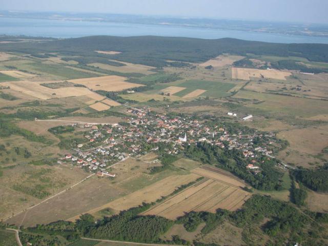 50