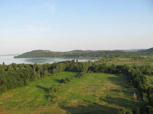 79