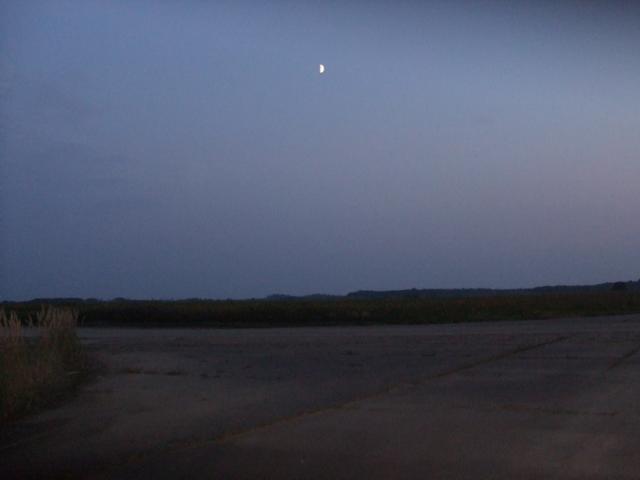 37