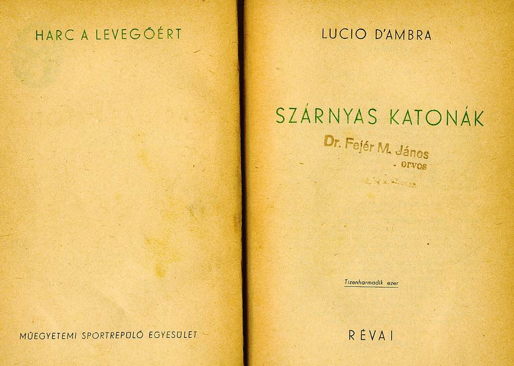 Szarnyas Katonak