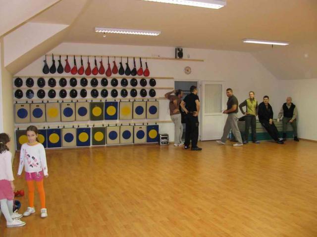 2009 003