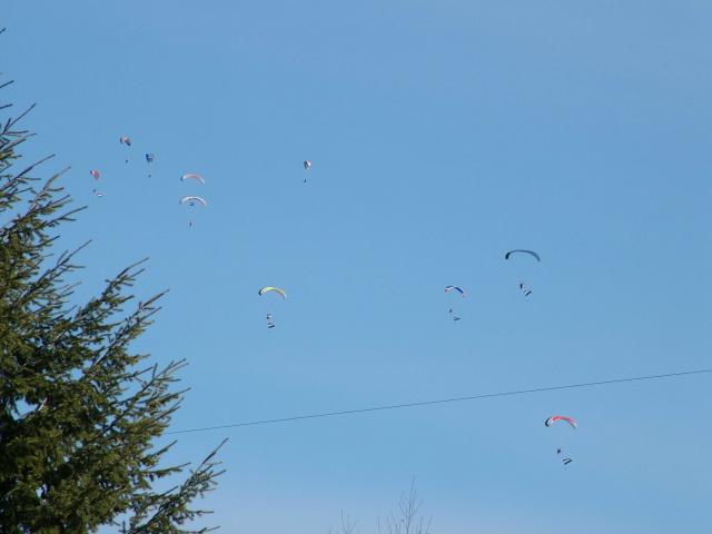 DSCF9823
